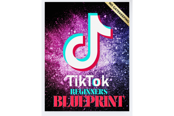 TikTok Blueprint: From beginner to Influencer 1k-10k