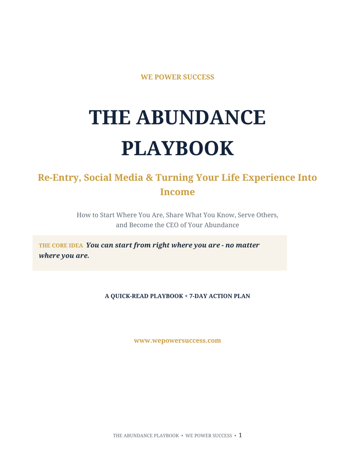 The Abundance Playbook